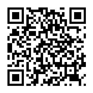 罪托邦 特别版 v1.0.2.519 豪华中文版+全DLC-电玩纪元