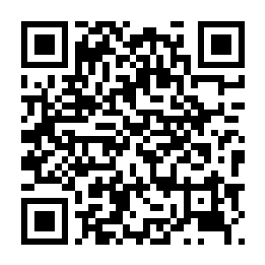 夺宝砖家 v1.0.0 官方中文版+全DLC-电玩纪元