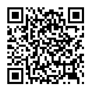 动物岛 恶狼防卫战 Build.22784551 官方中文版+全DLC-电玩纪元