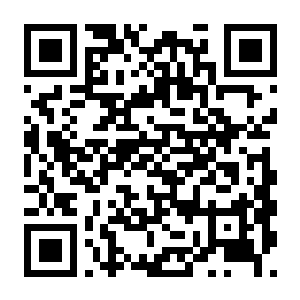 尘埃异变2 Build.22515422 豪华中文版+全DLC+预购特典-电玩纪元