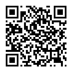 农夫王朝2-电玩纪元