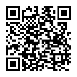 街头霸王6 第1-2年 战士版 Build.22577077 豪华中文版+全DLC+支持手柄-电玩纪元