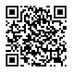 茧（COCOON）-电玩纪元