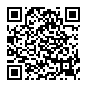 达尔文悖论 v1.0.1.24747-电玩纪元