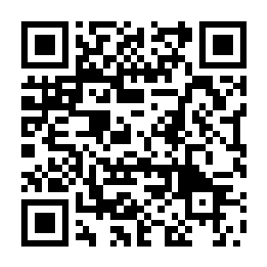 法外枭雄 滚石城 Build.22315069 豪华中文版+全DLC+多人模式+预购特典+多人模式-电玩纪元